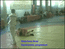 Первенство СПб по САМБО 01.07.2007 г.